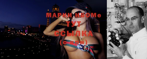 прущие грибы Михайловск