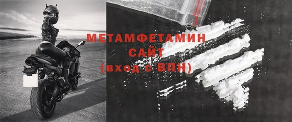 прущие грибы Михайловск