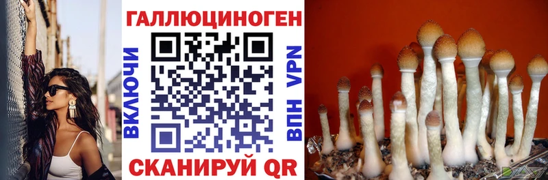 Купить  Копейск  Галлюциногенные грибы мухоморы 